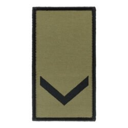 Skyriaus vado pareigybinis antsiuvas