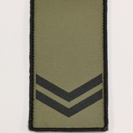 Būrio vado pavaduotojo pareigybinis antsiuvas