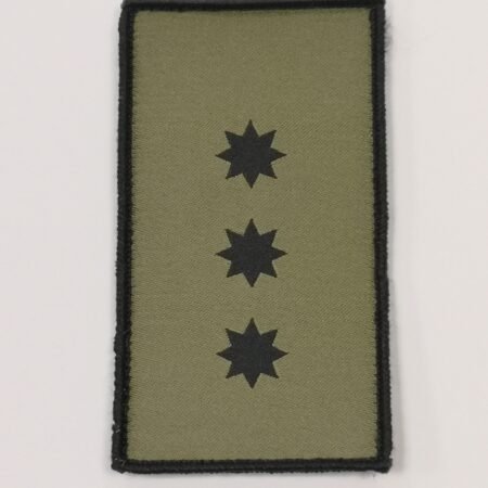 Kuopos vado pareigybinis antsiuvas